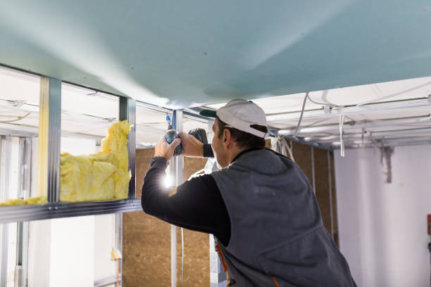 Best Cellulose Insulation in Presque Isle, ME
