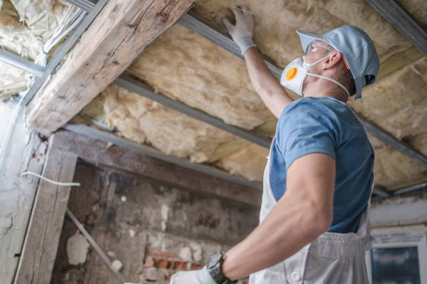 Best Residential Insulation in Presque Isle, ME
